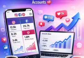 Hire a Professional Social Media Manager Grow Instagram Facebook Pinterest Fast
