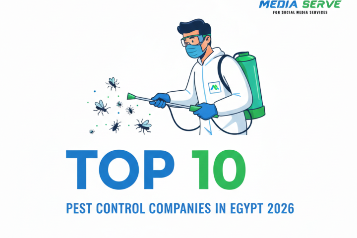 دليل شامل: افضل شركة ابادة حشرات في مصر لعام 2026