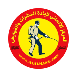 الرئيسية